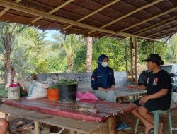 Setelah Diberdayakan, Petani Palawija Senang Hasil Panen Dibeli KFM