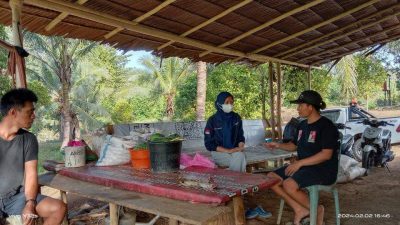 Setelah Diberdayakan, Petani Palawija Senang Hasil Panen Dibeli KFM