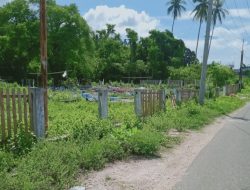 Halaman dan Pagar TPU Desa Louk Memprihatinkan, Camat : Nanti Saya Tegur Kadesnya