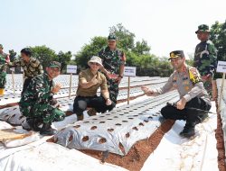 Tanam Bawang Usai Tanam Patok, Menteri AHY: Mari Berkontribusi terhadap Ketahanan Pangan