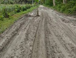 DT Perusahaan AMP Bikin Jalan Desa Dusun II Matanyo Rusak Parah