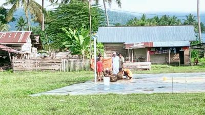 Perusahan AMP Sumbang Sapi Qurban di Desa Baya