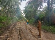 Jalan Penghubung Desa Lauwon-Kamumu Diperbaiki,Sekdes :Ini Berkat Perjuangan Mantan Kades Lauwon