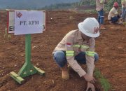 Ragam Kegiatan Meriahkan Bulan K3 Nasional, PT. KFM Tanam Ratusan Pohon Hingga Lomba Poster dan Donor Darah