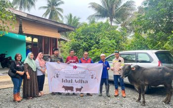 Rayakan Idul Adha 1446 H, PT. Koninis Fajar Mineral Sebar 11 Ekor Sapi Qurban Untuk Umat Muslim