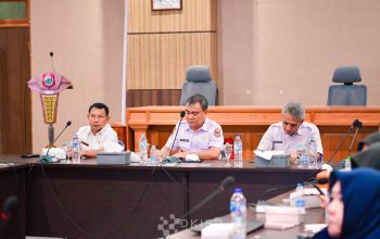 Tumbuh 14,11 Persen per Tahun, Pendapatan Banggai Diproyeksi Tembus Rp5,87 Triliun di 2029