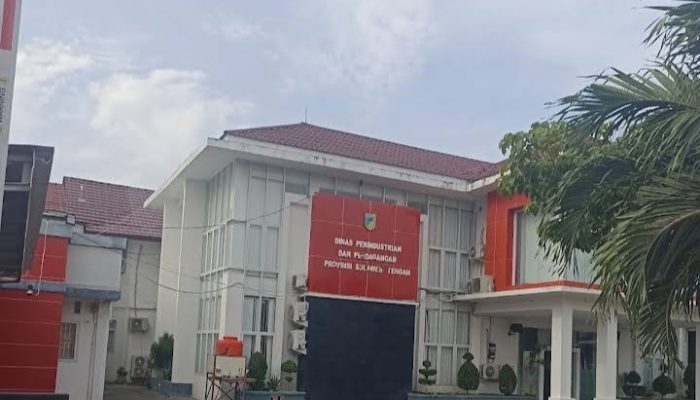 BPK Soroti Anomali Pemilihan Penyedia dan Pemahalan Harga di Lingkungan Disperindag Sulteng