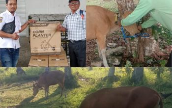 Petani dan Peternak Dapil II Tersenyum, Legislator Golkar Indry Azis Realisasikan Bantuan Aspirasi