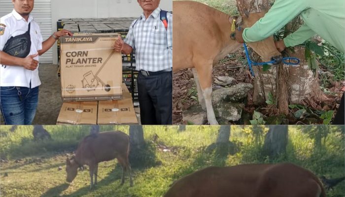 Petani dan Peternak Dapil II Tersenyum, Legislator Golkar Indry Azis Realisasikan Bantuan Aspirasi
