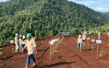 Semangat Pahlawan, Hijaukan Bumi: PT KFM Tanam Ribuan Pohon di Lahan Bekas Tambang