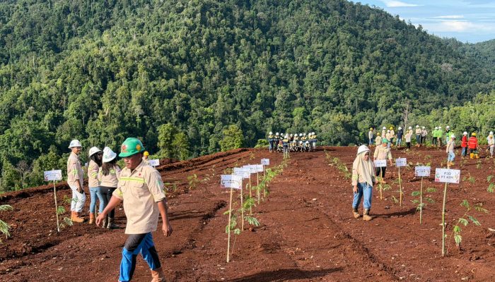Semangat Pahlawan, Hijaukan Bumi: PT KFM Tanam Ribuan Pohon di Lahan Bekas Tambang