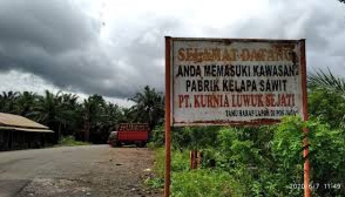 PT. KLS  Berkonflik Dengan 1.914 Keluarga, Terbesar di Sulteng