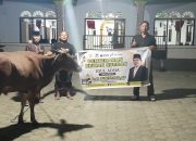 Beniyanto Tamoreka Salurkan 18 Ekor Sapi Qurban untuk Masyarakat Banggai, Palu dan Morowali Utara