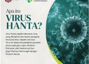 Dinkes Banggai Ingatkan Ancaman Virus Hanta, Kenali Gejala dan Pencegahannya