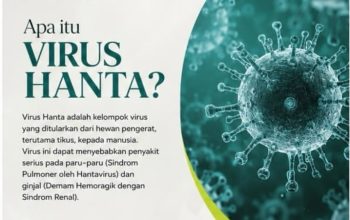 Dinkes Banggai Ingatkan Ancaman Virus Hanta, Kenali Gejala dan Pencegahannya