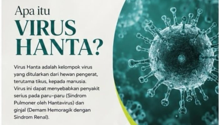 Dinkes Banggai Ingatkan Ancaman Virus Hanta, Kenali Gejala dan Pencegahannya