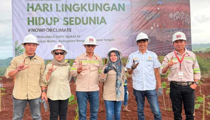 Hari Lingkungan Hidup Sedunia, PT KFM Bersama Mitra Hijaukan 2 Hektar Area Bekas Tambang Blok Murai