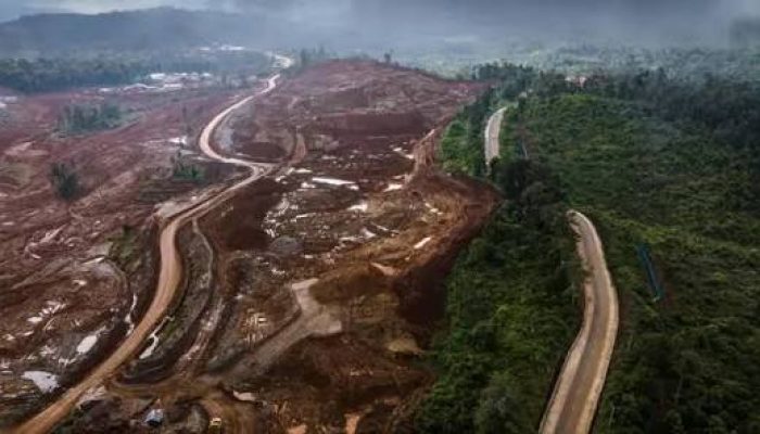 Puluhan Perusahaan Nikel di Morowali dan Morowali Utara Terancam Denda Rp4,8 Triliun