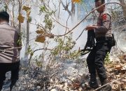 Dua Hari Berjuang di Pegunungan Huhak, Samapta Polresta Banggai Berhasil Padamkan 50 Hektare Karhutla
