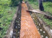 BPK Ungkap Sungai Mayayap Tercemar Limbah Merkuri Akibat Pertambangan Nikel