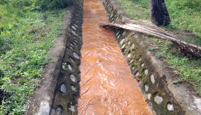 BPK Ungkap Sungai Mayayap Tercemar Limbah Merkuri Akibat Pertambangan Nikel