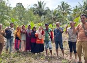 Dukung Gerbang Pangan, Desa Tompotika Makmur Diproyeksikan Jadi Sentra Hortikultura Baru di Banggai