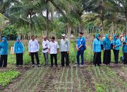 Dikunjungi Ketua TP-PKK Banggai, PT PAU Gelar Sekolah Lapang Hortikultura untuk Kelompok Tani Lamo
