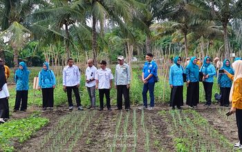 Dikunjungi Ketua TP-PKK Banggai, PT PAU Gelar Sekolah Lapang Hortikultura untuk Kelompok Tani Lamo