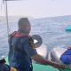 Video Detik-Detik Kepala UPP Luwuk Pimpin Langsung Evakuasi Nelayan di Perairan Banggai