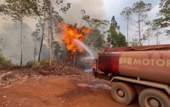 Tim ESDM Siaga Bencana PT KFM Bergerak Padamkan Karhutla di Simpang Raya