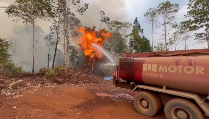 Tim ESDM Siaga Bencana PT KFM Bergerak Padamkan Karhutla di Simpang Raya